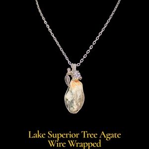 Healing Stone Lake Superior Tree Agate Wire Wrapped Necklace